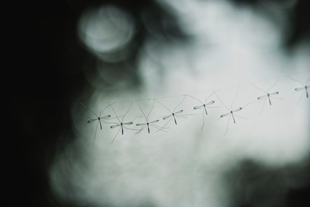 water droplets on black wire