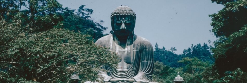 a large buddha statue sitting in the middle of a park